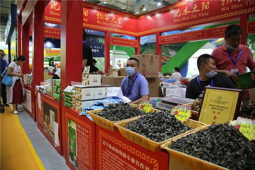 沈陽特色農(nóng)產(chǎn)品首秀長春農(nóng)博會，生態(tài)美味俘獲春城味蕾